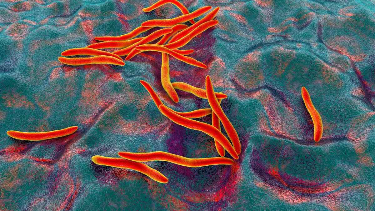 Modelul universal al microbiotei intestinale asociat cu descoperirea cancerului colorectal
