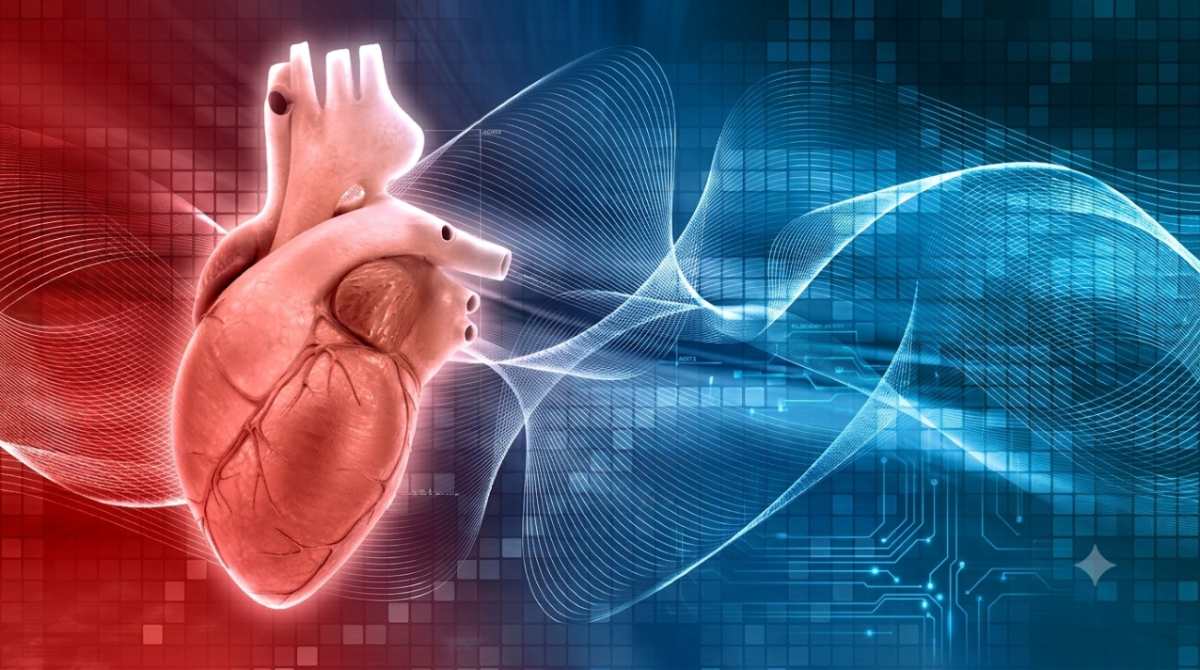 Noile Ghiduri privind Colesterolul Vizează Reducerea cu 50% a Riscului de Infarct și Accident Vascular Cerebral