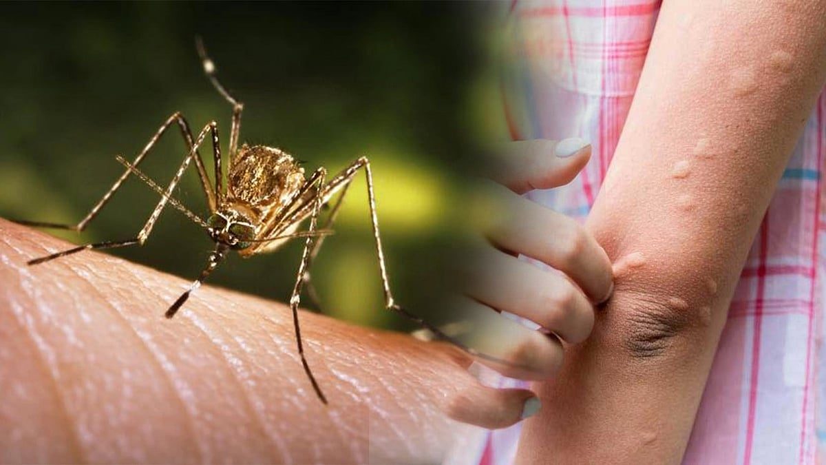 Zdravotní oddělení Sivasagar zintenzivňuje úsilí o kontrolu japonské encefalitidy