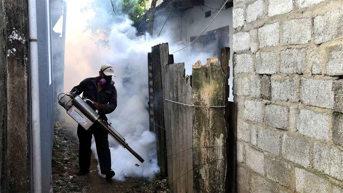 Cazurile de Dengue Cresc la Peste 50.000 în Sri Lanka cu 30 de Decese Raportate